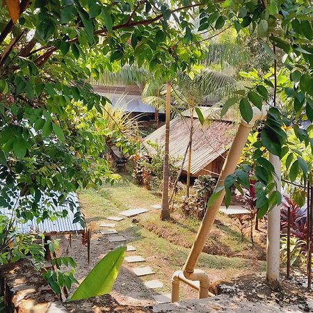 Xingu Camping Site เลติเซีย ภายนอก รูปภาพ