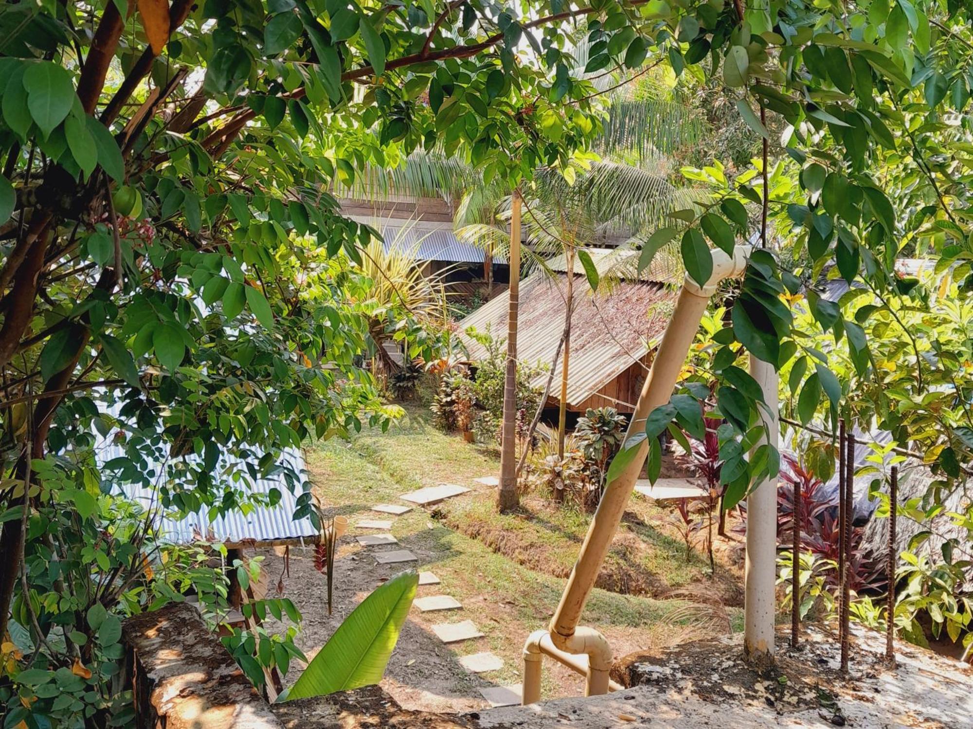 Xingu Camping Site เลติเซีย ภายนอก รูปภาพ