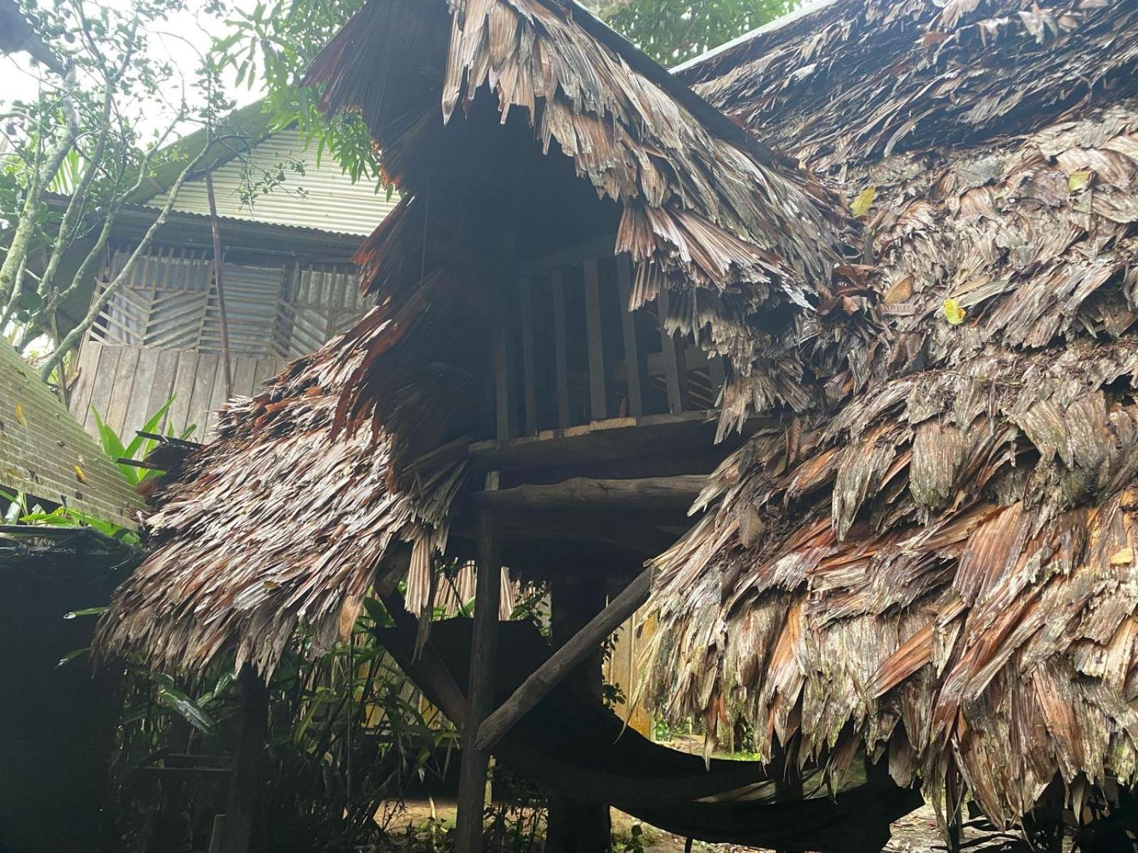 Xingu Camping Site เลติเซีย ภายนอก รูปภาพ