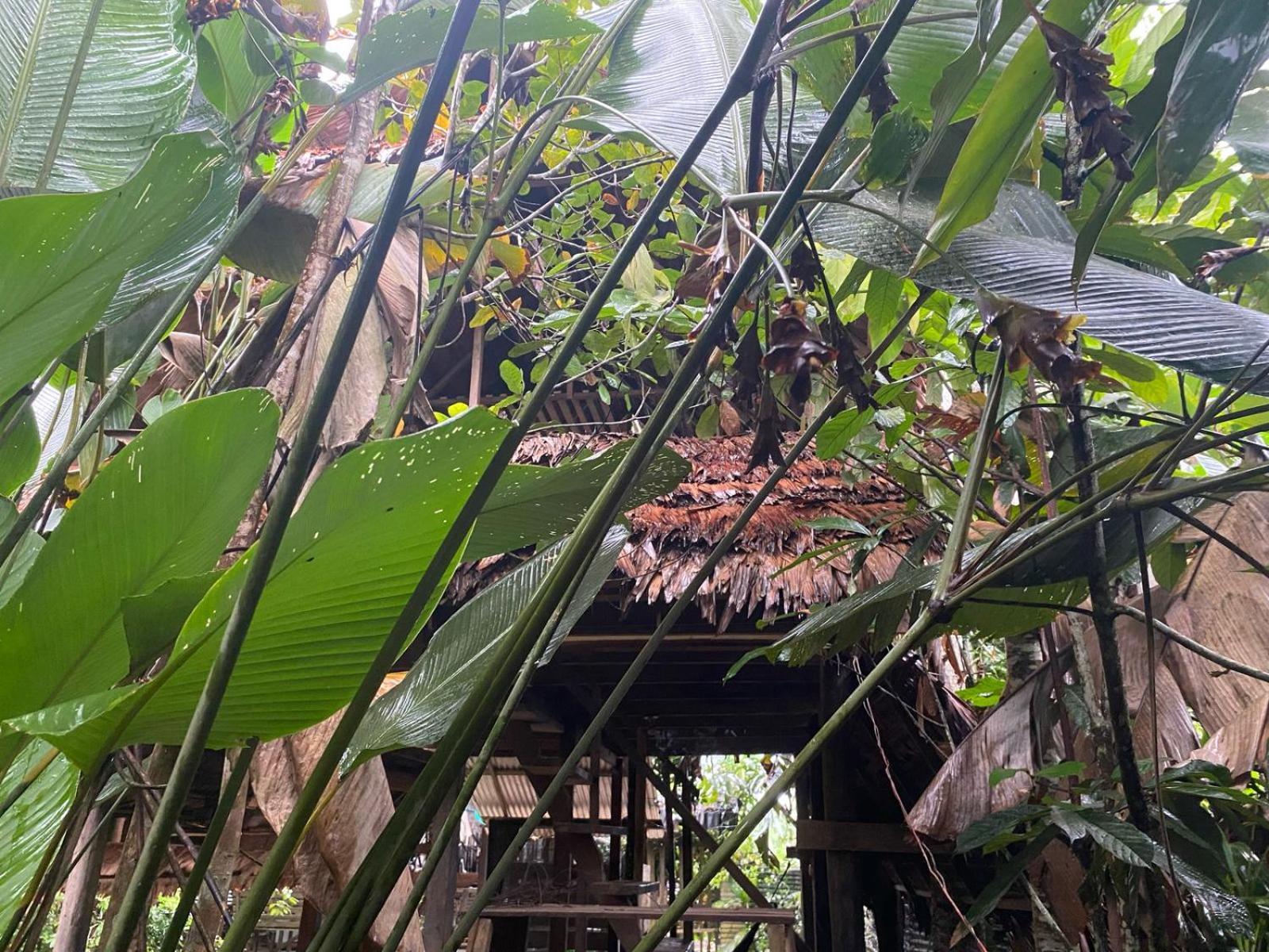 Xingu Camping Site เลติเซีย ภายนอก รูปภาพ