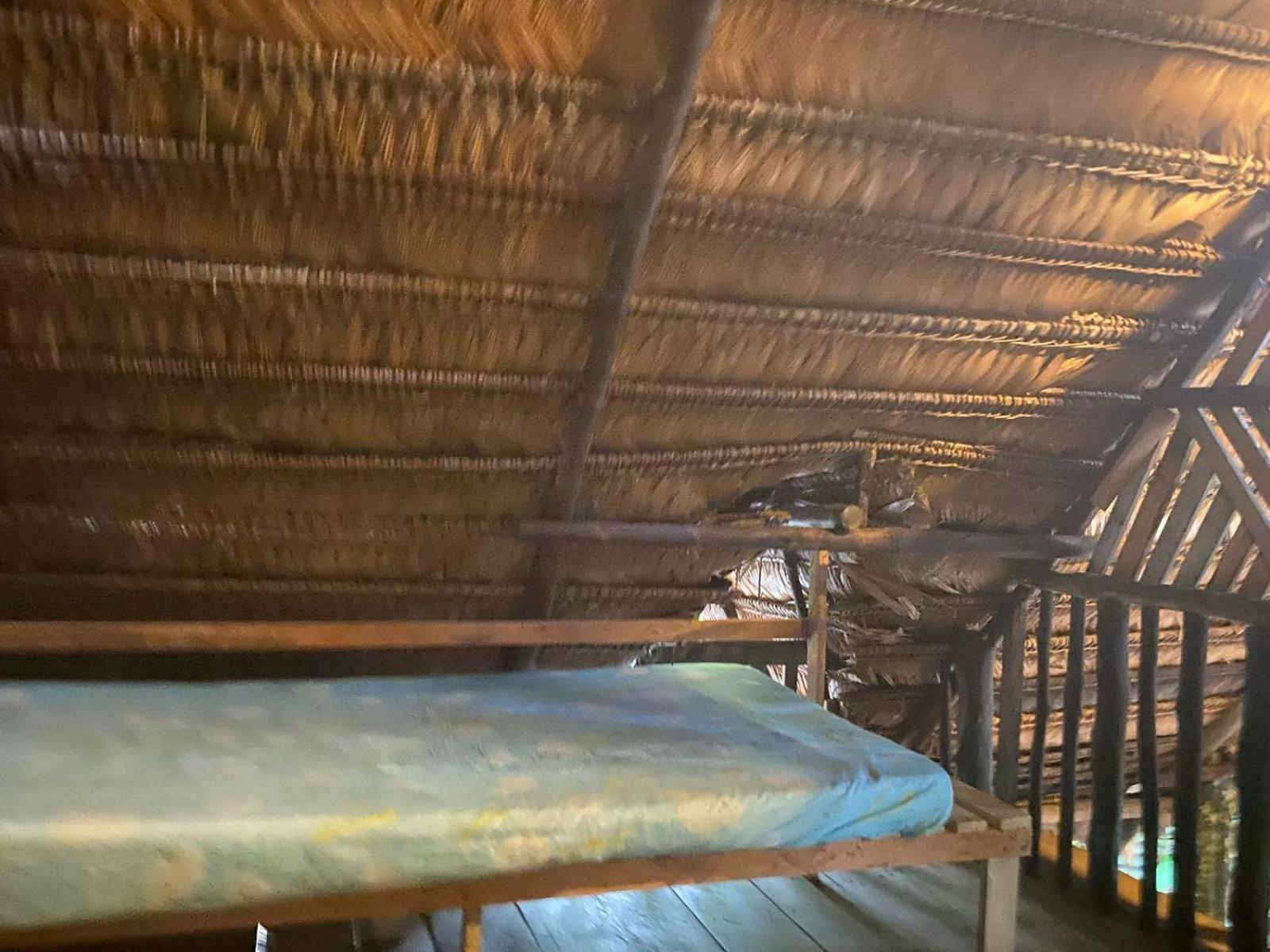 Xingu Camping Site เลติเซีย ภายนอก รูปภาพ