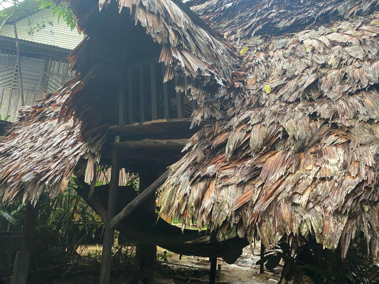 Xingu Camping Site เลติเซีย ภายนอก รูปภาพ