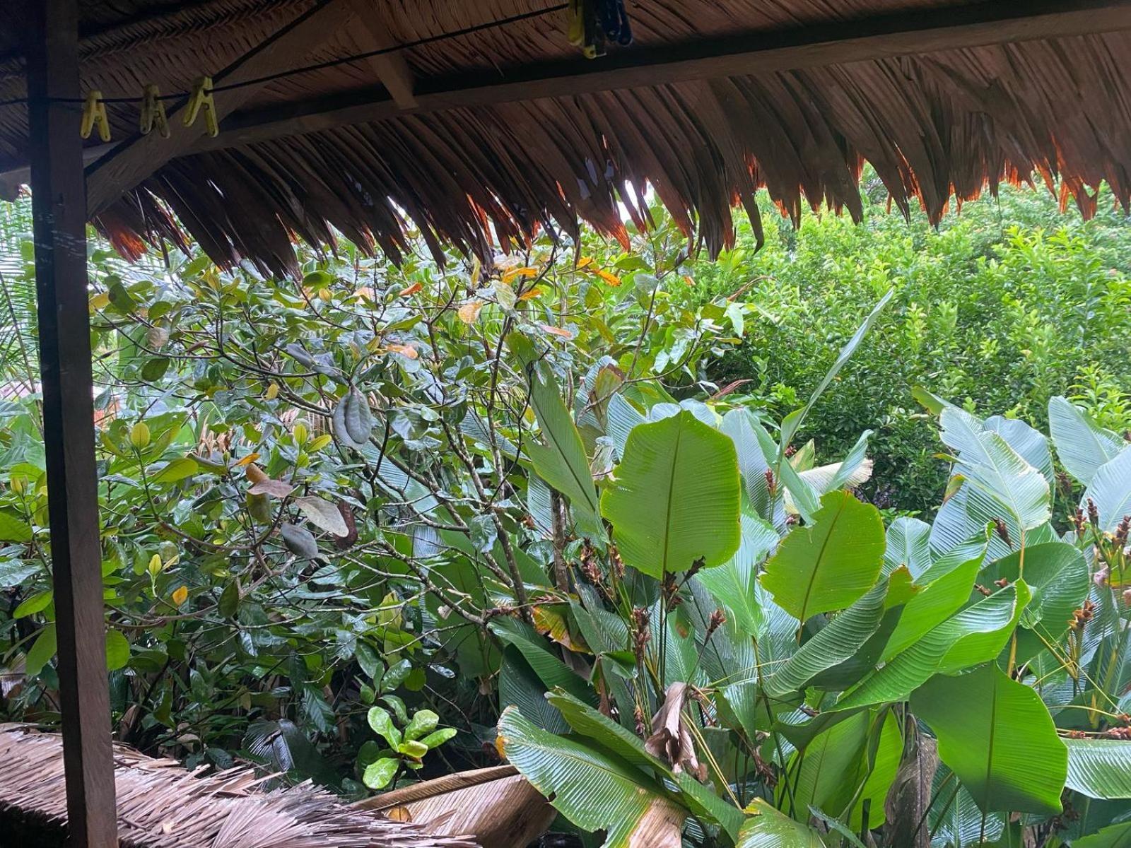 Xingu Camping Site เลติเซีย ภายนอก รูปภาพ