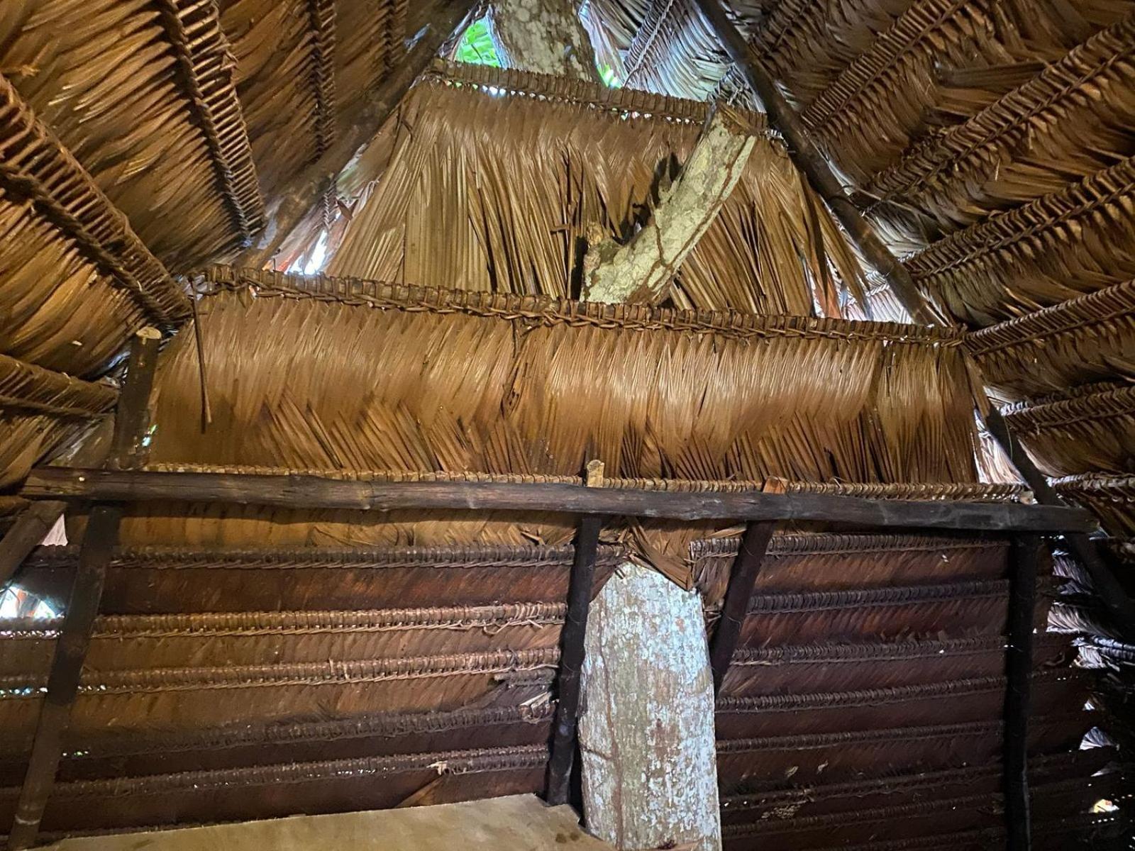 Xingu Camping Site เลติเซีย ภายนอก รูปภาพ