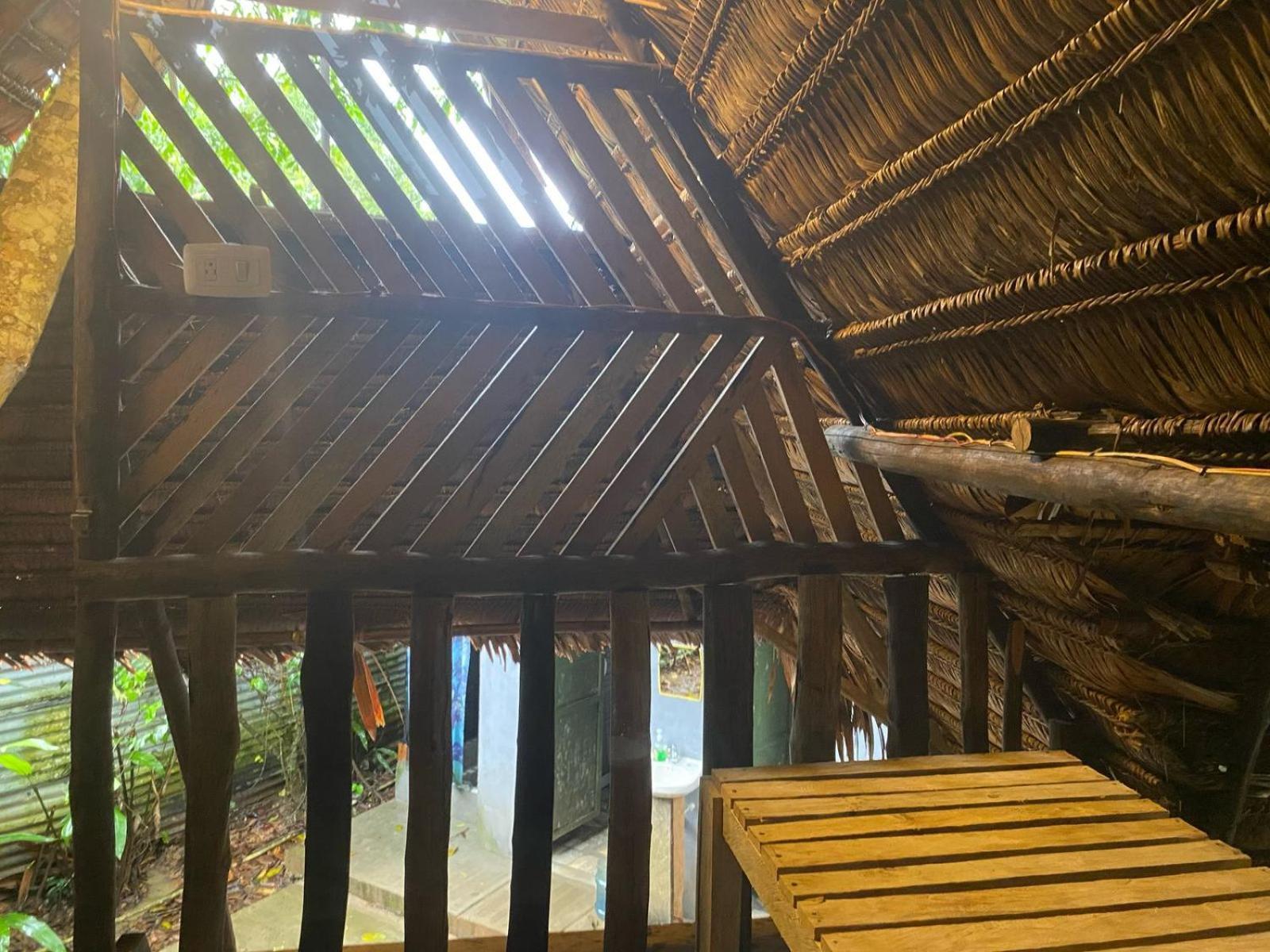 Xingu Camping Site เลติเซีย ภายนอก รูปภาพ