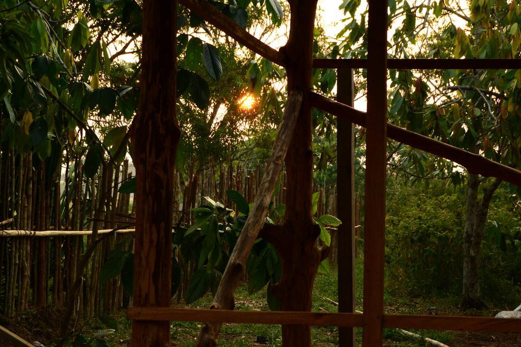 Xingu Camping Site เลติเซีย ภายนอก รูปภาพ