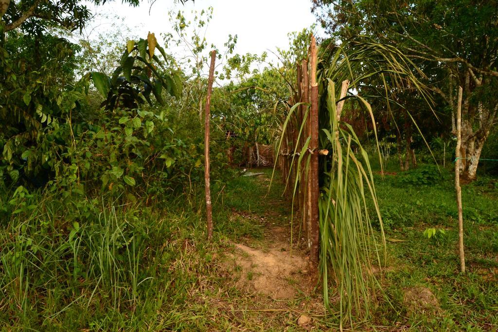 Xingu Camping Site เลติเซีย ภายนอก รูปภาพ
