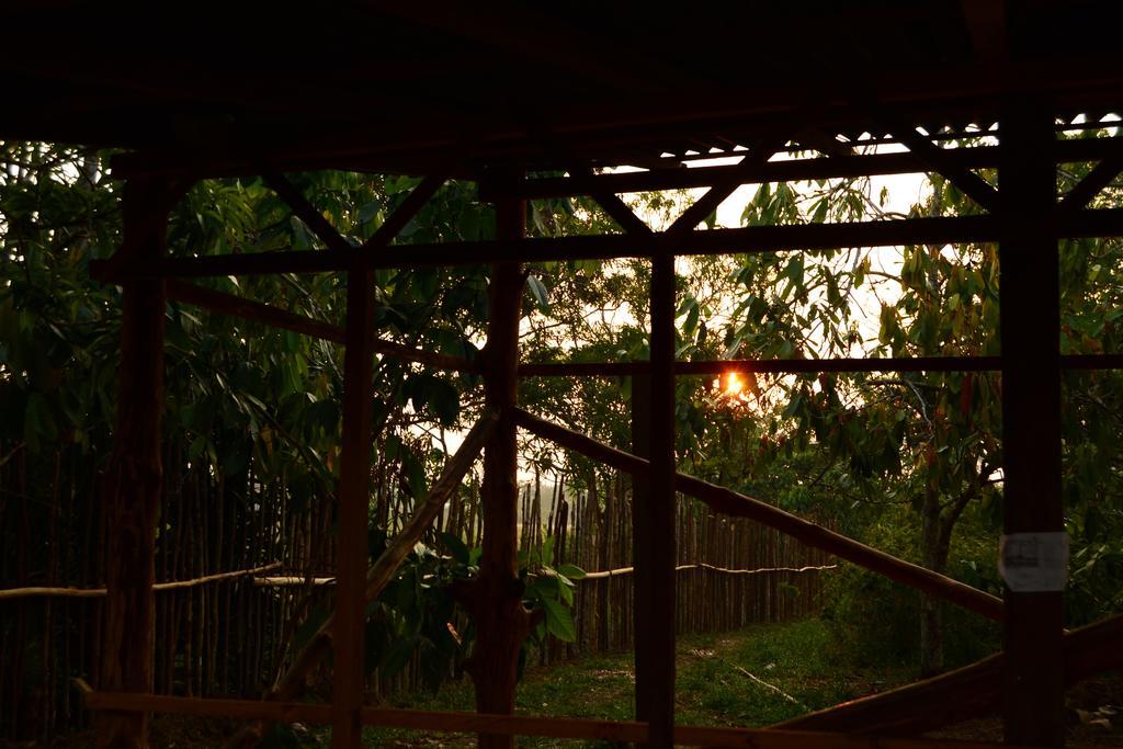 Xingu Camping Site เลติเซีย ภายนอก รูปภาพ
