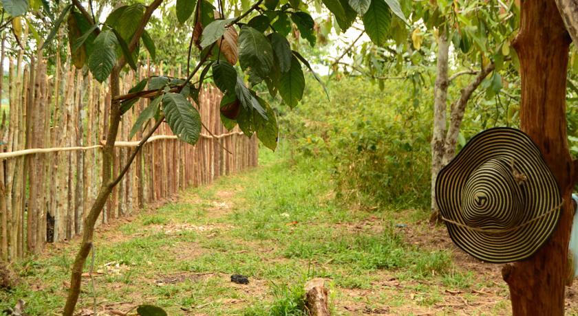 Xingu Camping Site เลติเซีย ห้อง รูปภาพ