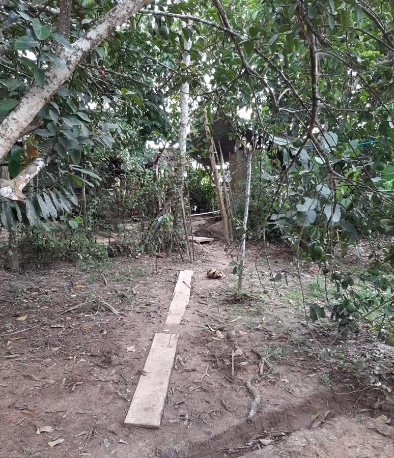 Xingu Camping Site เลติเซีย ภายนอก รูปภาพ