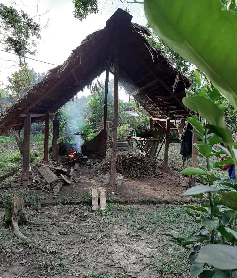 Xingu Camping Site เลติเซีย ภายนอก รูปภาพ
