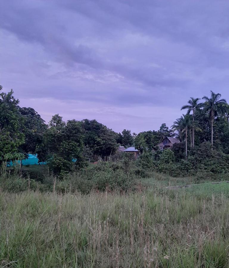 Xingu Camping Site เลติเซีย ภายนอก รูปภาพ