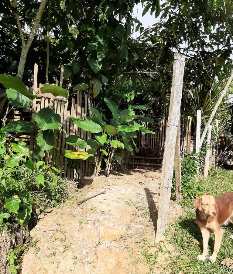 Xingu Camping Site เลติเซีย ภายนอก รูปภาพ