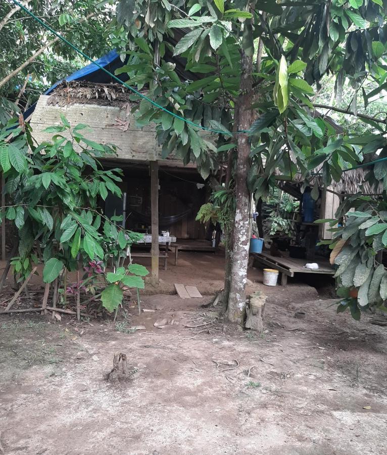 Xingu Camping Site เลติเซีย ภายนอก รูปภาพ
