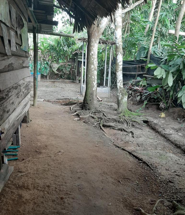 Xingu Camping Site เลติเซีย ภายนอก รูปภาพ